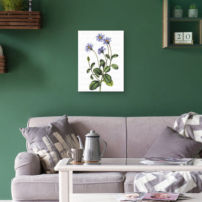 Texto de Blue Cineraria - Design Lab