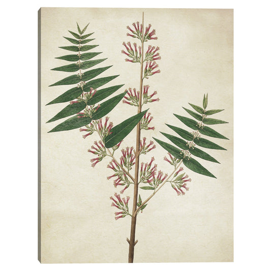 Textura Simple Nature II - Design Lab
