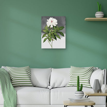 Gris peonia blanco - Design Lab