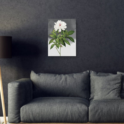 Gris peonia blanco - Design Lab