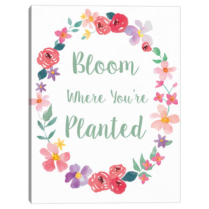Floracion Floral - Gilbert