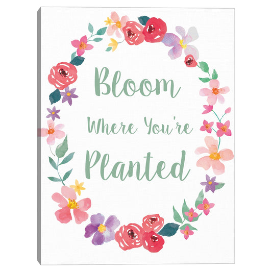 Floracion Floral - Gilbert