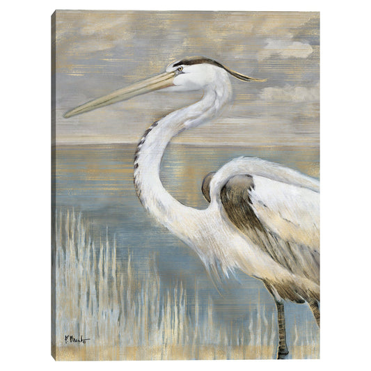 Garza de rio dorado - Paul Brent