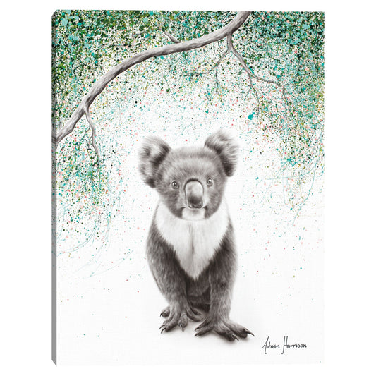 Orgullo de Koala - Ashvin Harrison