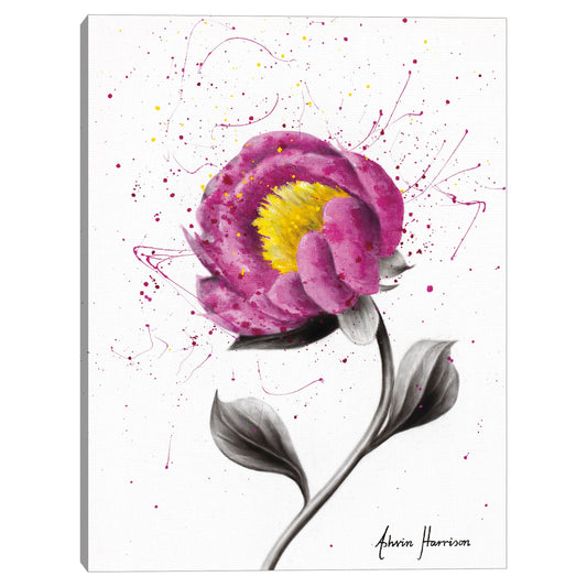 Amor magenta - Ashvin Harrison