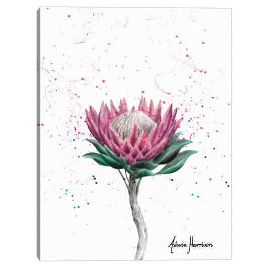 Flor de arbusto de azucar - Ashvin Harrison