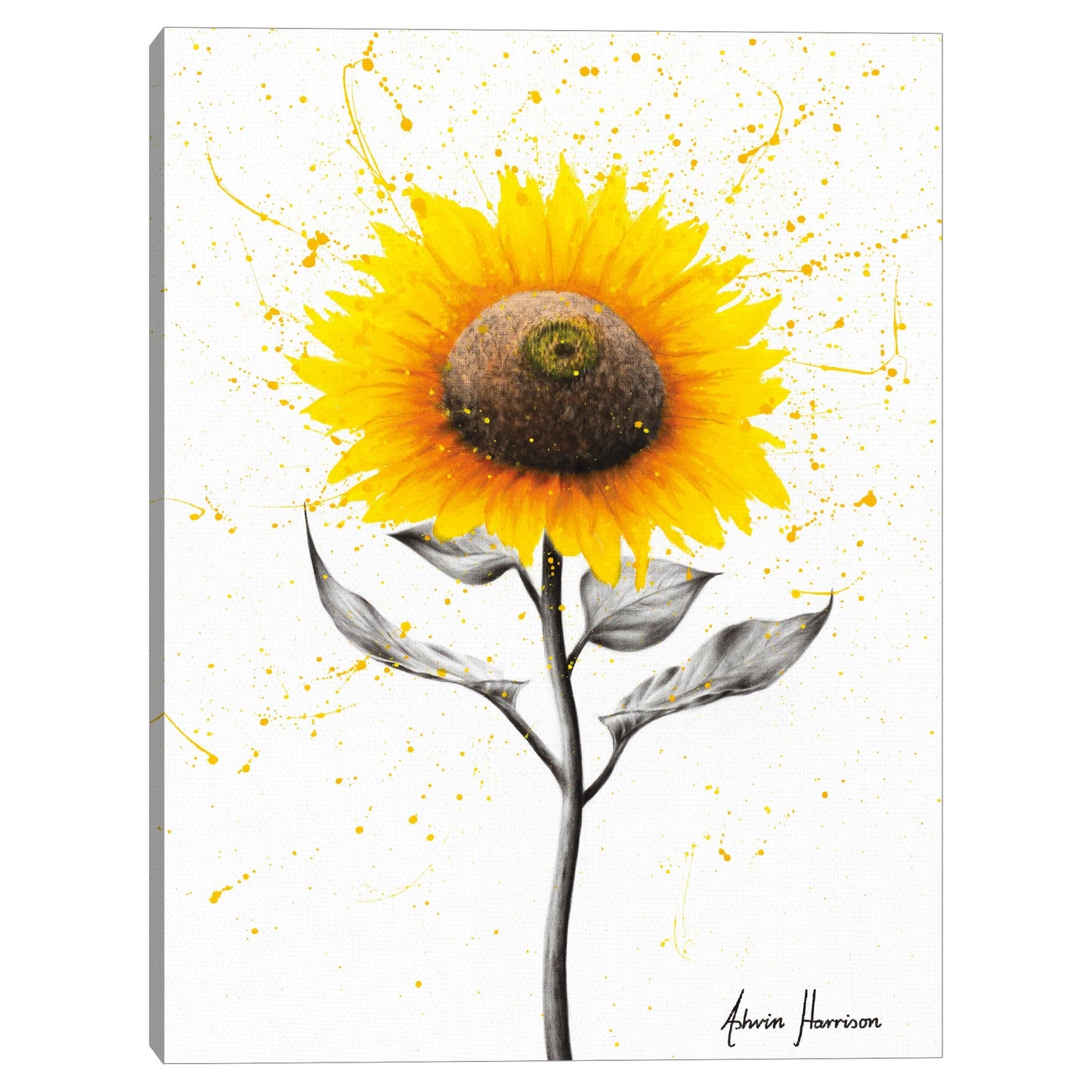 Celebracion del girasol - Ashvin Harrison
