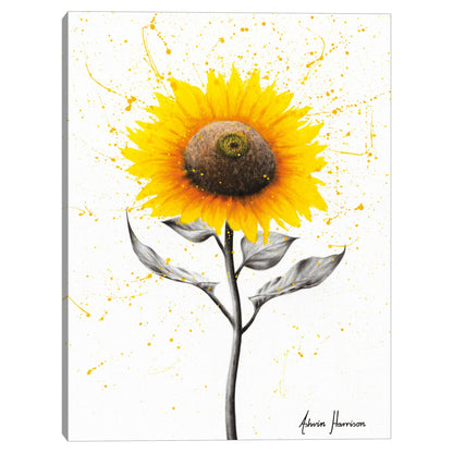 Celebracion del girasol - Ashvin Harrison
