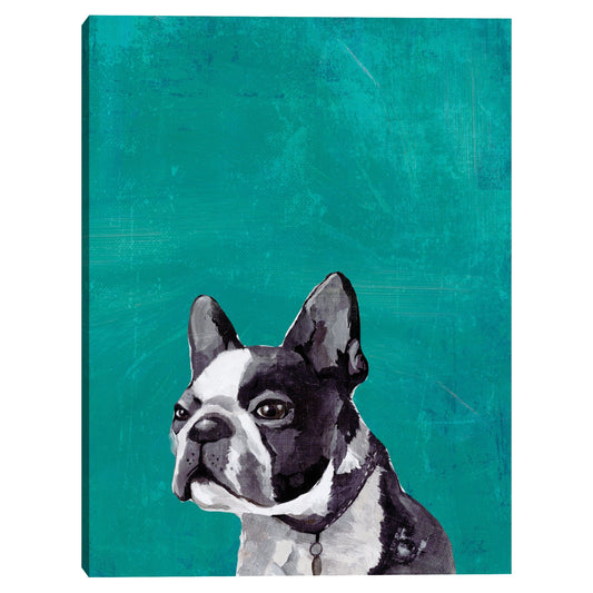 Cachorro frenchie - PI Studio