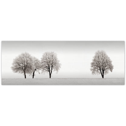 Linea de Arboles - Ilona Wellmann