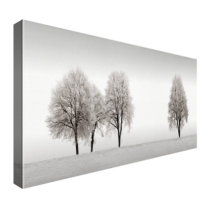 Linea de Arboles - Ilona Wellmann