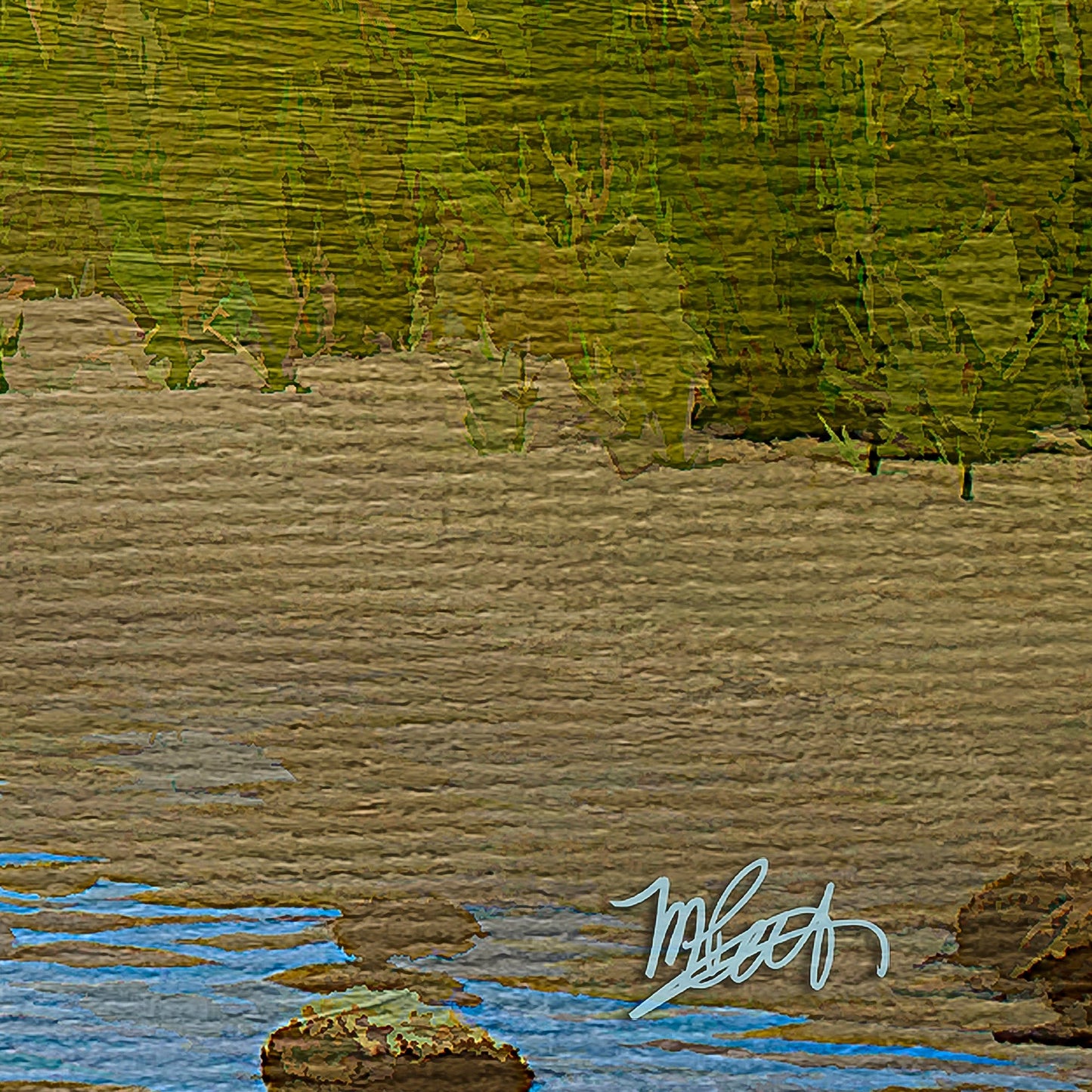 Aguas tranquilas - Michael Petrizzo
