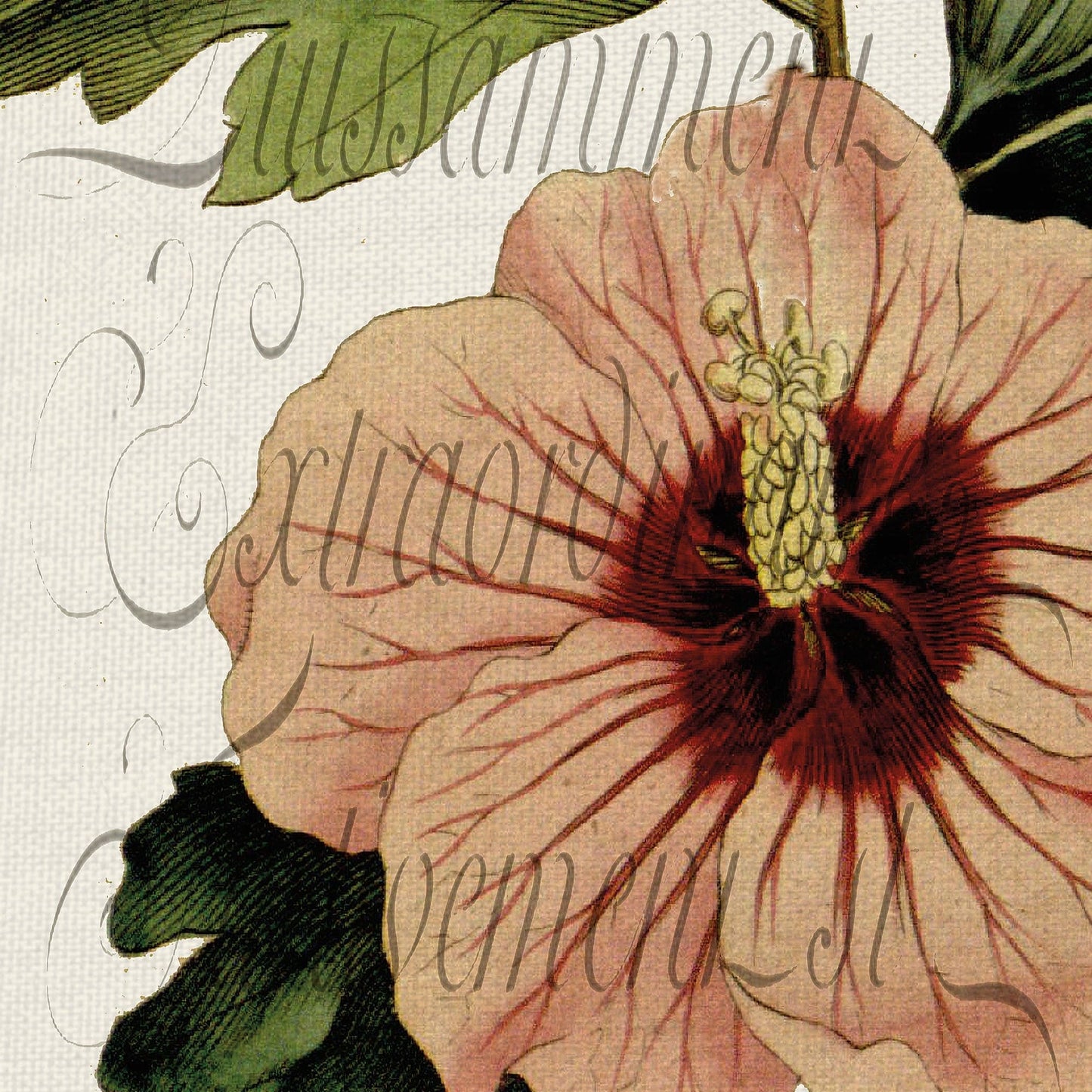 Panel Botanico II - Stephanie Monahan