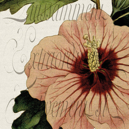 Panel Botanico II - Stephanie Monahan