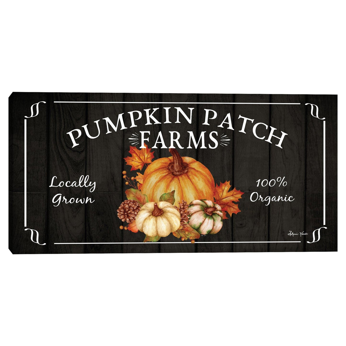 Pumkin Patch Horizontal Negro - Sheri Hart