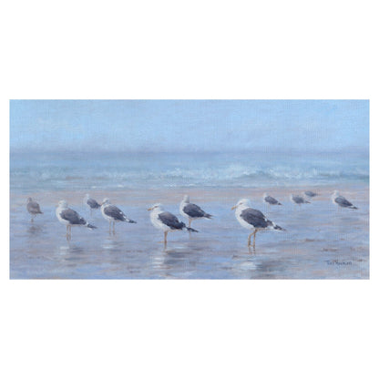 Aves marinas - Tony Hinchcliffe