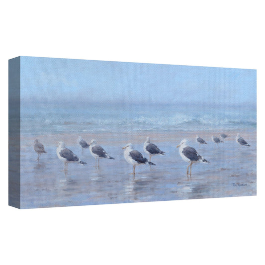 Aves marinas - Tony Hinchcliffe