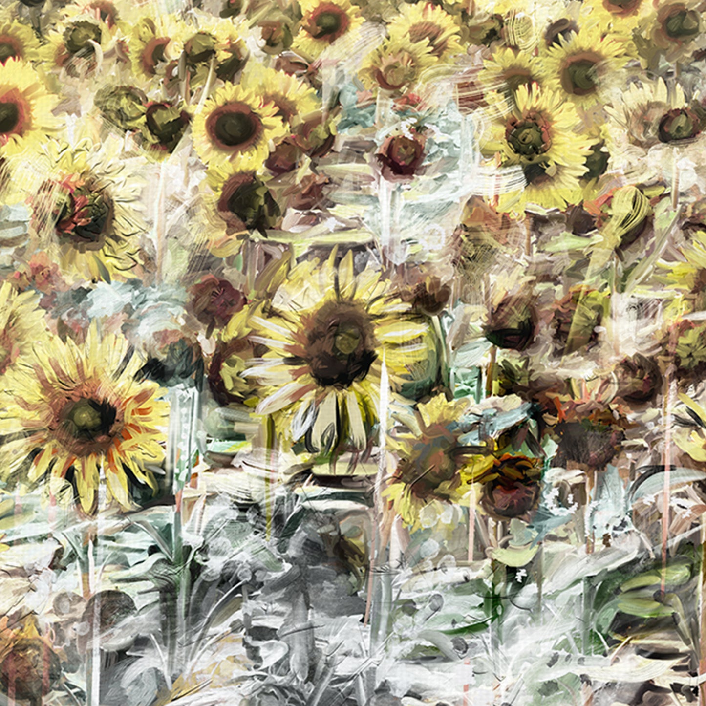 Pradera de girasoles - Studio Arts