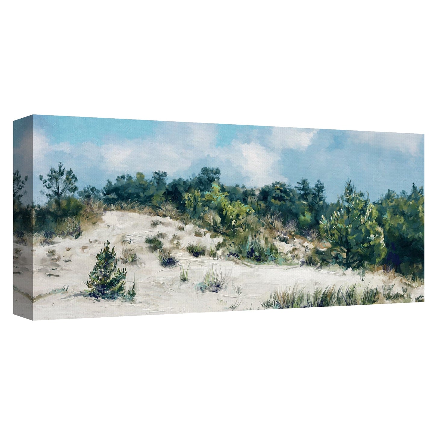 Dunescape - Studio Arts