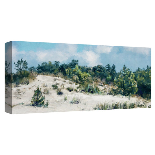 Dunescape - Studio Arts