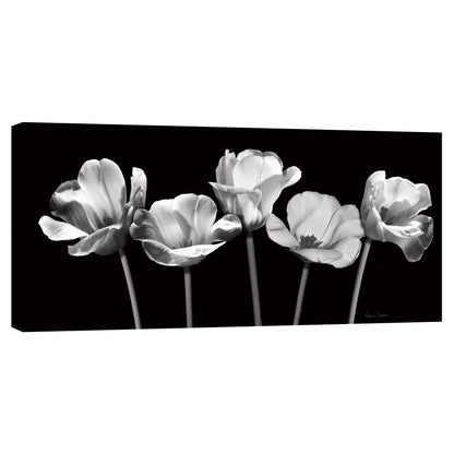 Tulipanes de noche - Katrina Craven
