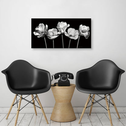 Tulipanes de noche - Katrina Craven