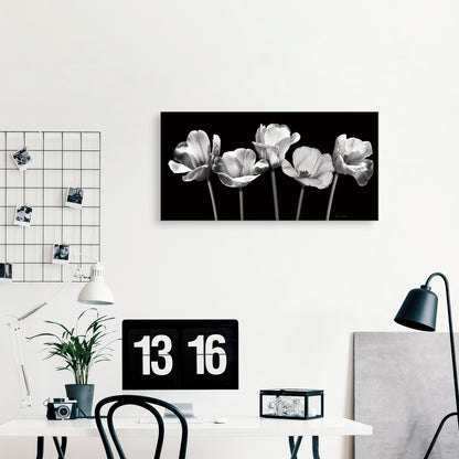 Tulipanes de noche - Katrina Craven