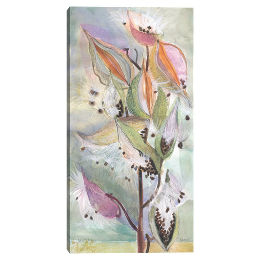 Algodoncillo en color - Maret Hensick