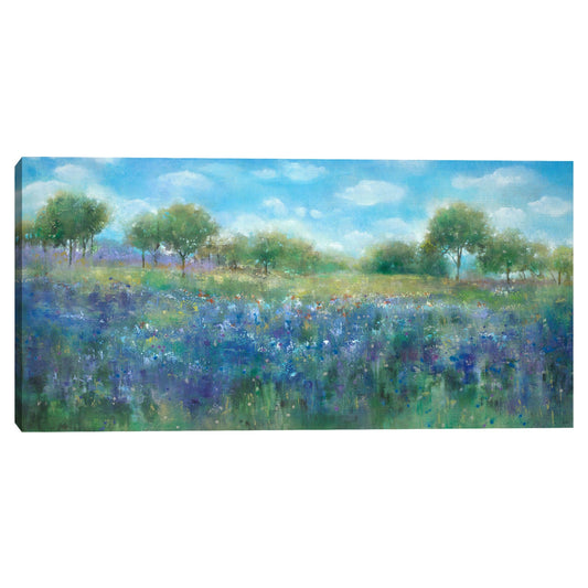 Cerro Bluebonnets - K. Nari