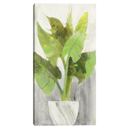 Plantador Tropical I - Albena Hristova