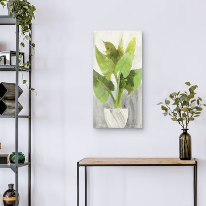 Plantador Tropical I - Albena Hristova