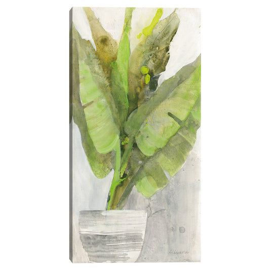 Plantador Tropical II - Albena Hristova