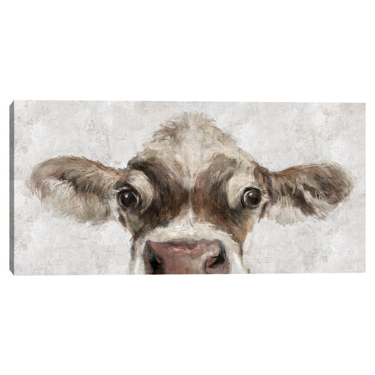 Mirada de vaca - Studio Arts
