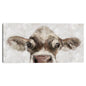Mirada de vaca - Studio Arts