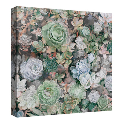 Plaza del Jardín Suculento - Studio Arts