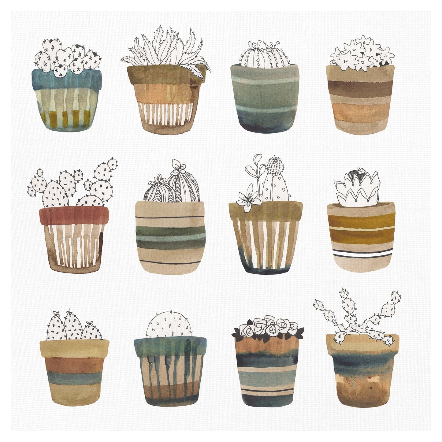 Colectivo cactus - Sandra Jacobs