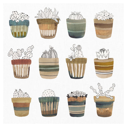 Colectivo cactus - Sandra Jacobs
