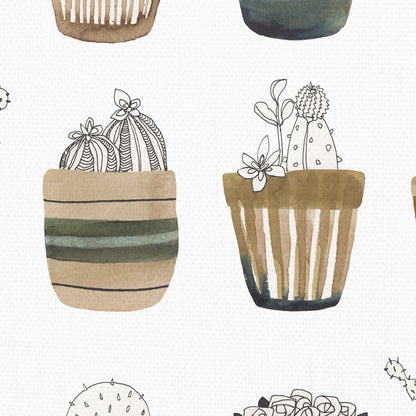 Colectivo cactus - Sandra Jacobs