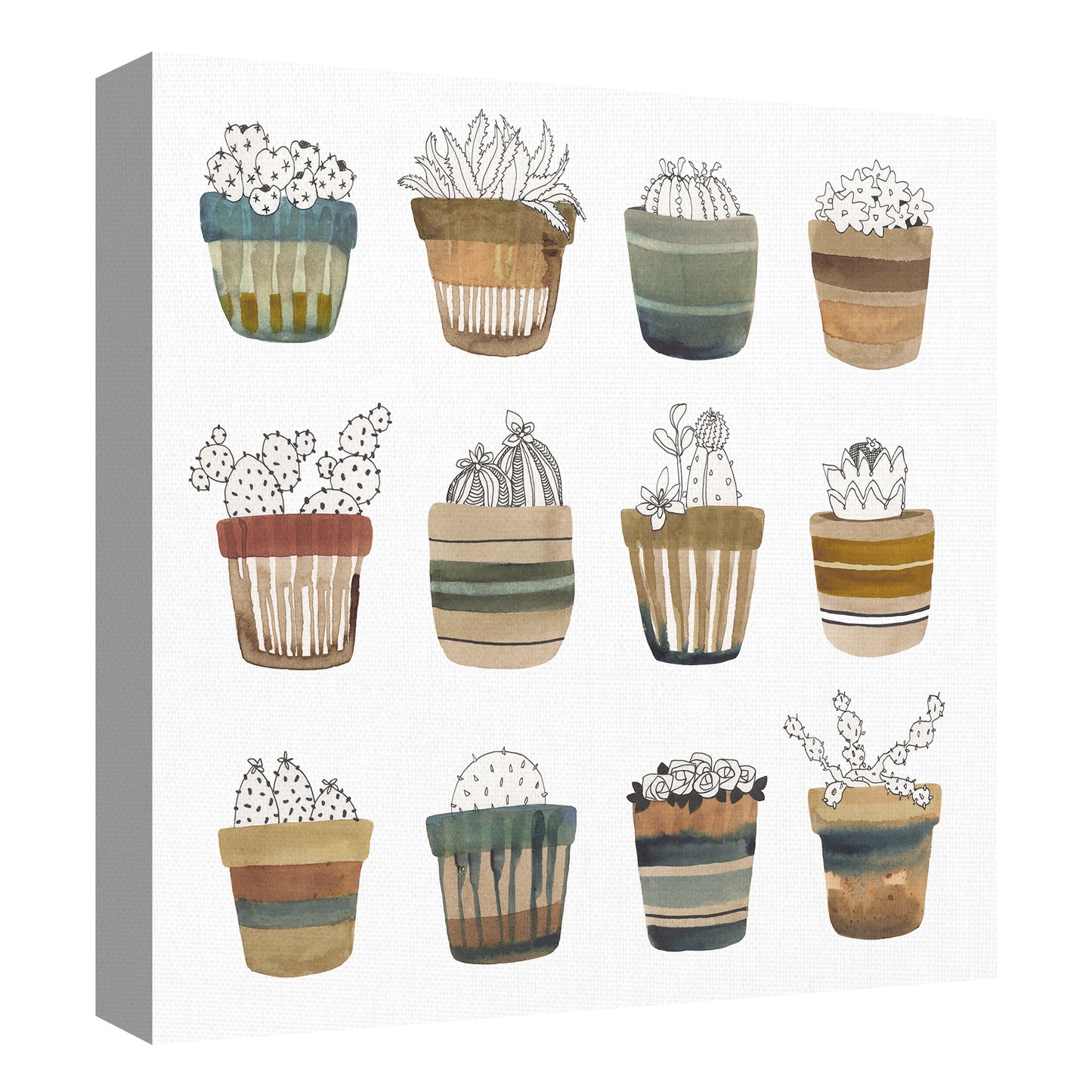 Colectivo cactus - Sandra Jacobs