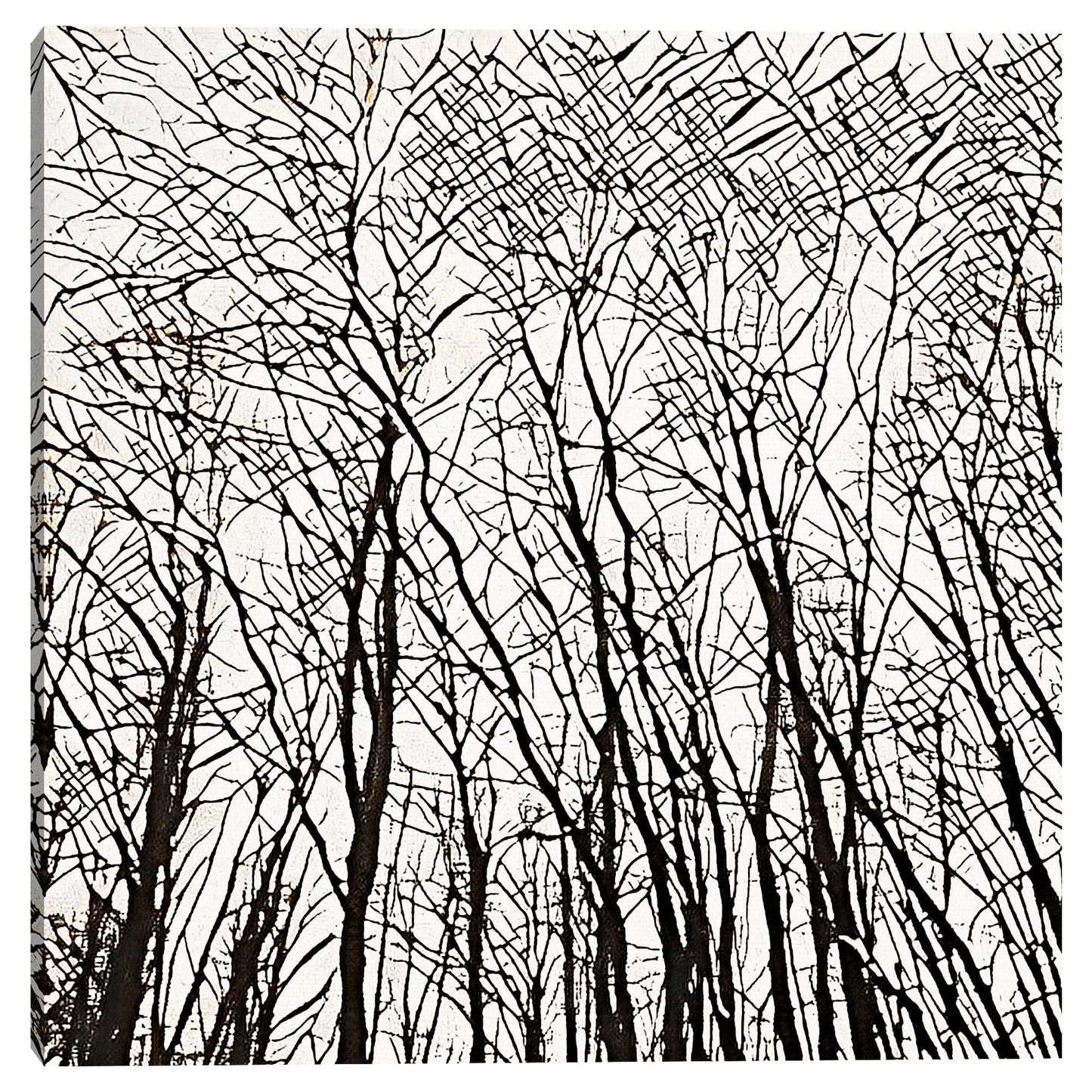 Patrones de arboles - Belle Maison