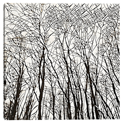 Patrones de arboles - Belle Maison