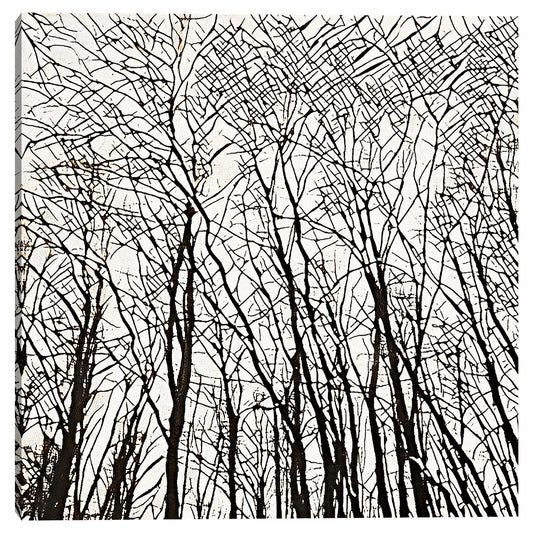 Patrones de arboles - Belle Maison