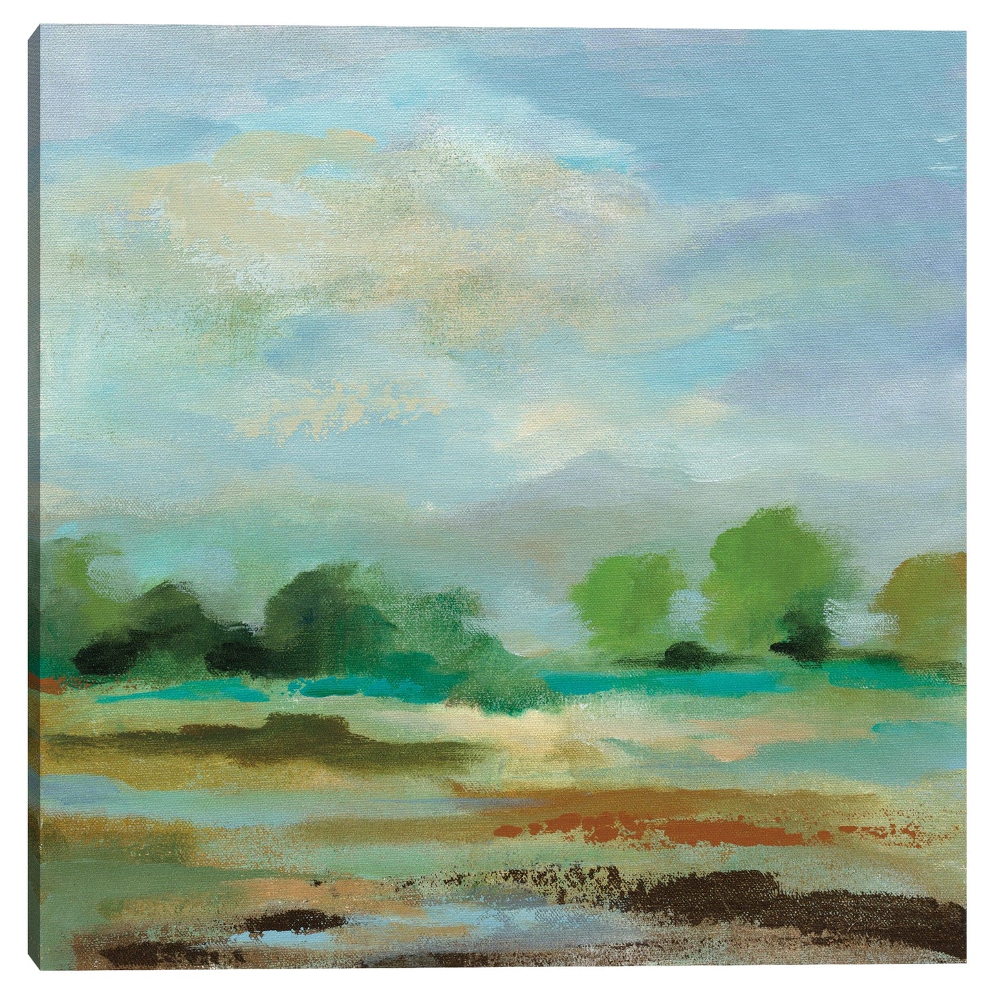 Nubes inesperadas III - Silvia Vassileva