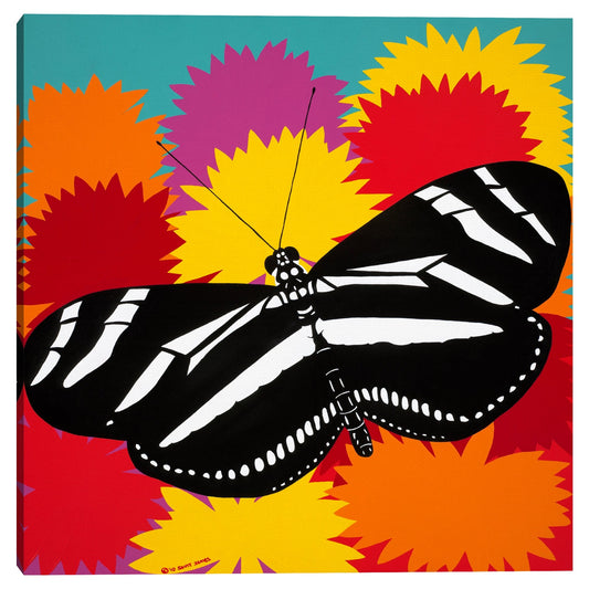 Mariposa cebra - Synthia SAINT JAMES