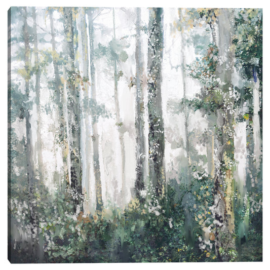 Radiance - Studio Arts