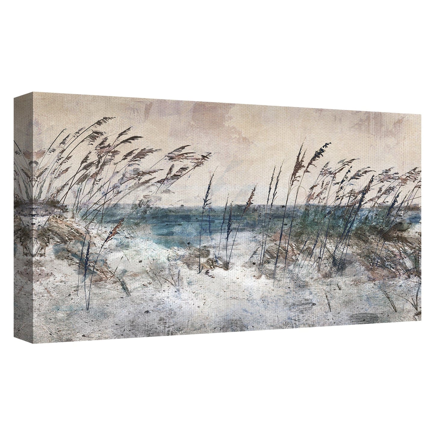 Luz de pastos marinos de la mañana - Studio Arts