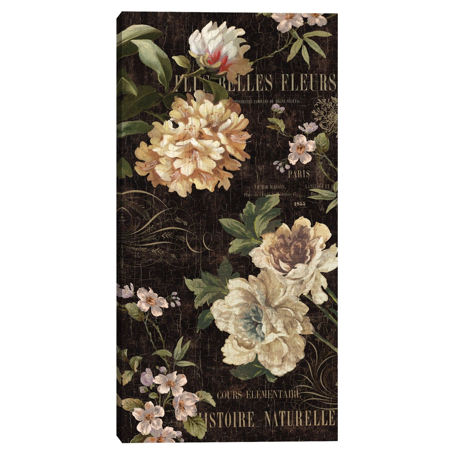 Flores antiguas II - Deborah Devellier