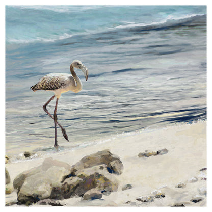 Shorebird - Studio Arts