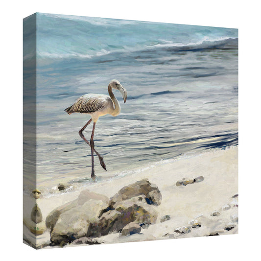 Shorebird - Studio Arts