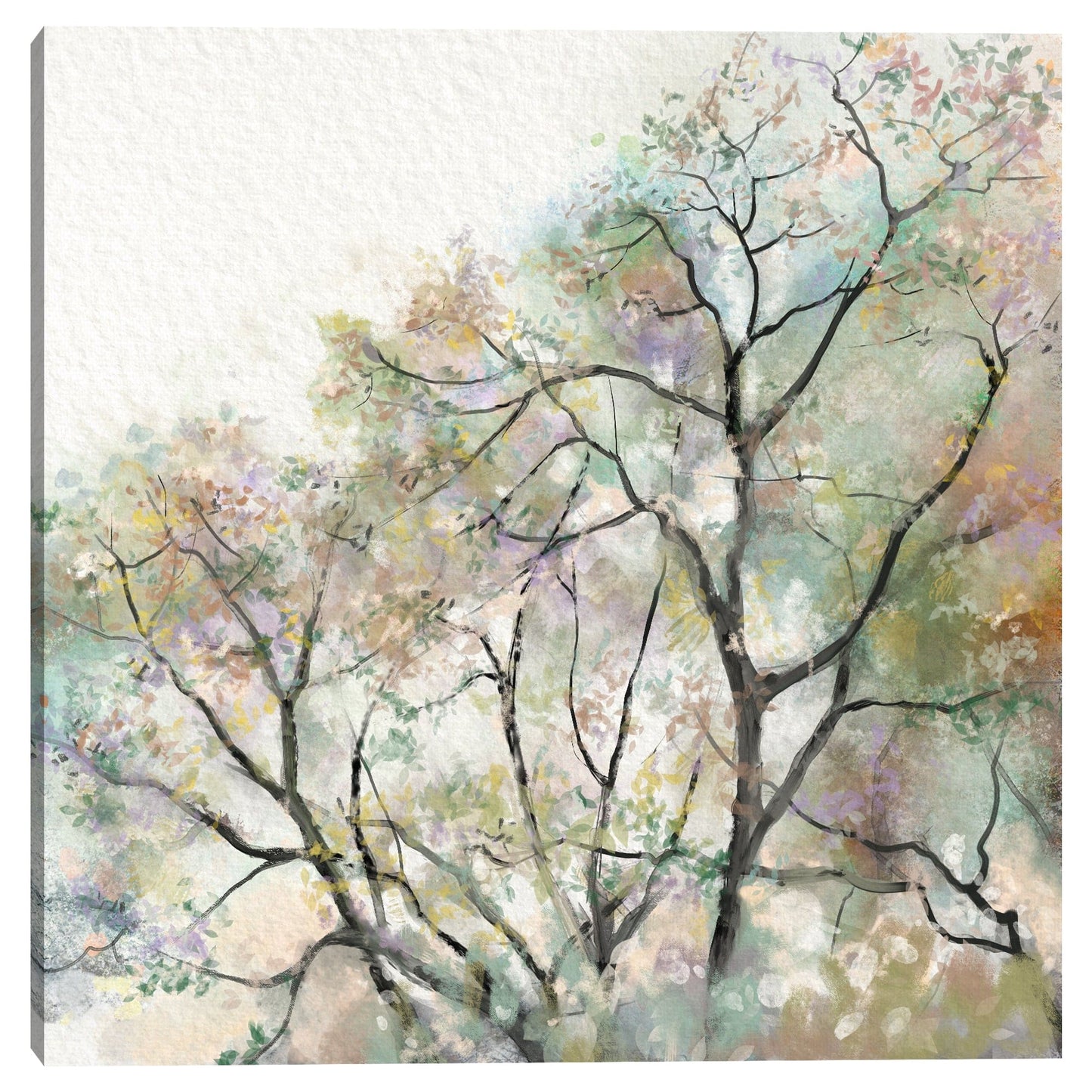 Sueño de verano - Studio Arts